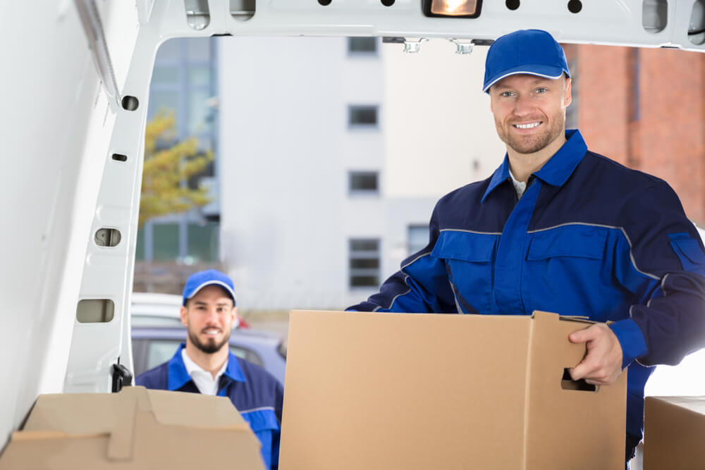 Licensed movers Wesley Chapel