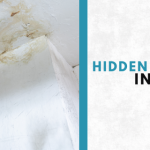Hidden Water Leaks
