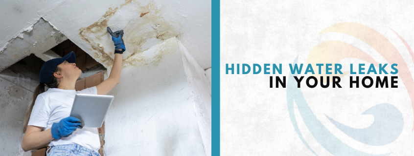 Hidden Water Leaks
