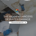 mold risks and prevention tips